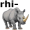 rhino5