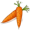 carrots5