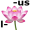 lotus5