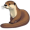 otter5