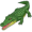 crocodile5