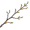twig5