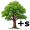 oak5