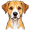 dog5