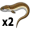 eel5