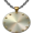 medallion5