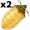 pupae5