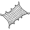 net5