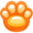 paw5