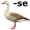 goose5