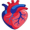 heart5