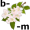 bloom5