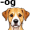 dog5