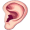 ear5