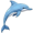 dolphin5