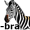 zebra5