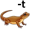 newt5