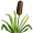 reed5
