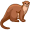 otter5
