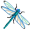 dragonfly5