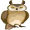owl5