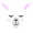 llama5