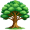 oak5