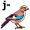 j-ay5