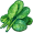 spinach5