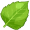 leaf5