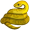 boa5