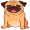 pug5