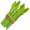 asparagus5