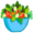 salad5