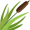 reed5
