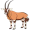 oryx5