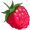 raspberry5