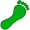 footprint5