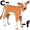 c-al-f5
