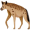 hyena5