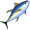 tuna5