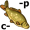 c-ar-p5