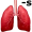 lung-s5