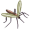gnat5