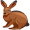 hare5