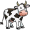 cow5