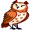 owl5