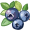 blueberry5