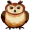 owl5