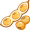 soy5